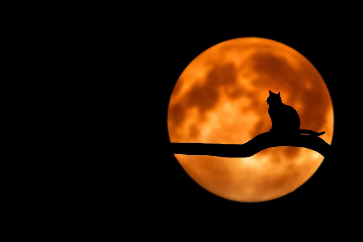 All Hallows ‚Eve